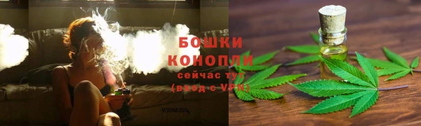 эйфоретик Баксан